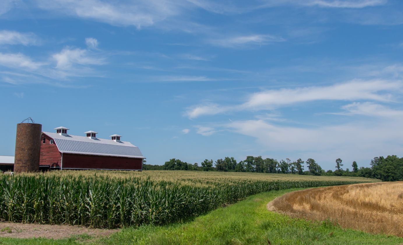 Scenic Virginia: October 24, 2015